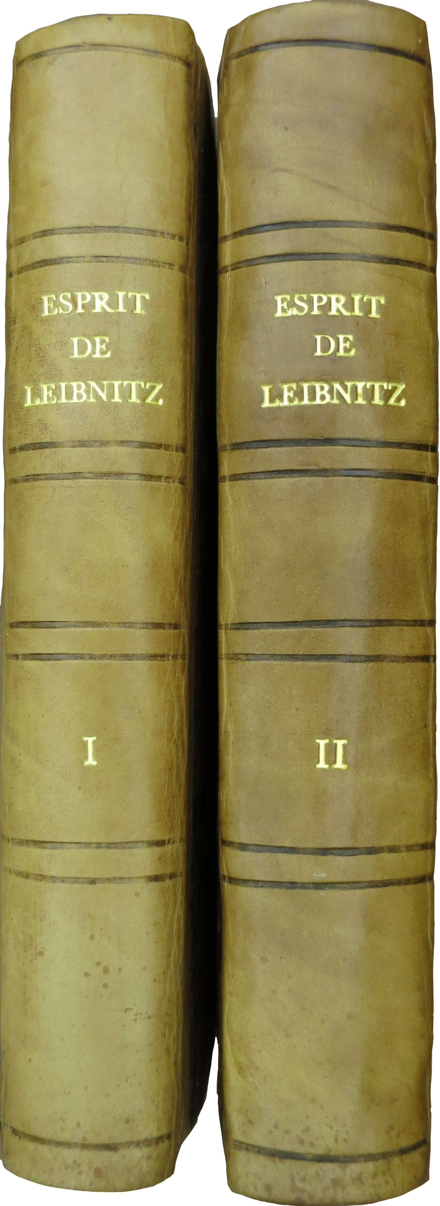 Esprit de Leibnitz